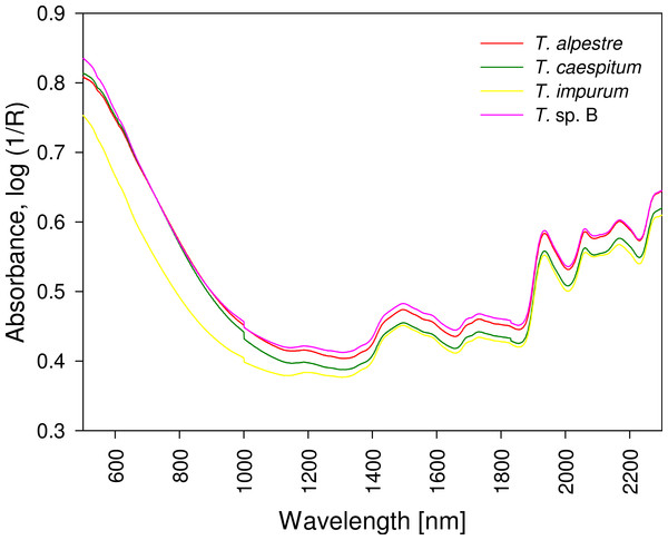 Mean spectra of four cryptic Tetramorium species.