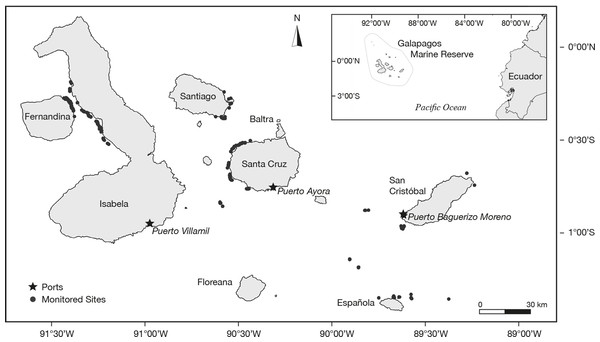 Geographic position of the study site in the Galapagos Marine Reserve.