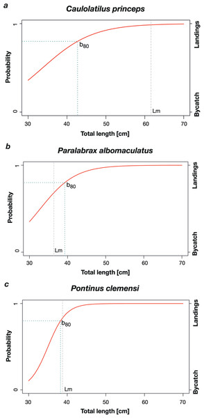 Logistic regression model results showing the probability of an individual to belong to bycatch or to landings depending on the individuals’ total length.