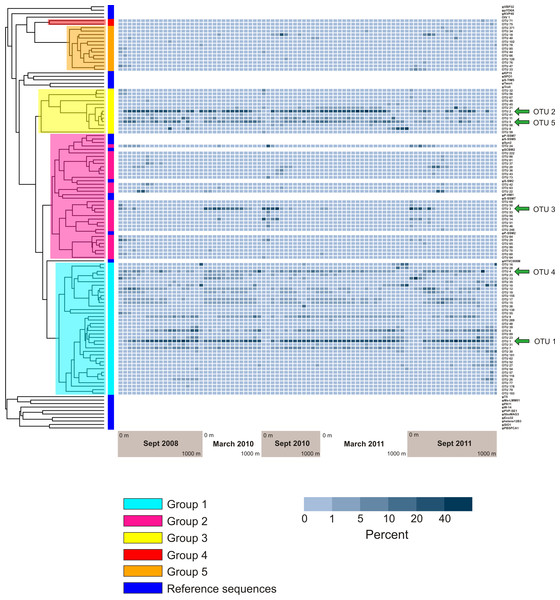 Prevalence of phylogenetically clustered OTUs in each sample, indicated as percent of each sample’s sequences that belong to each of the 94 top OTUs.