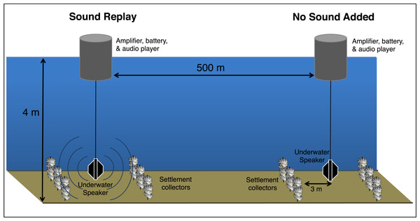 Experimental setup schematic.