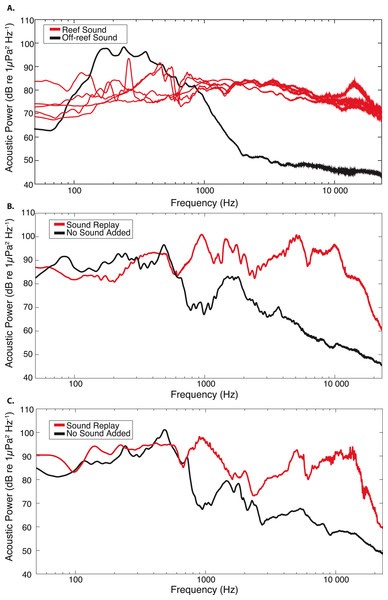 Acoustic power spectra for original and replayed reef recordings, compared to off-reef and “no sound” control recordings.