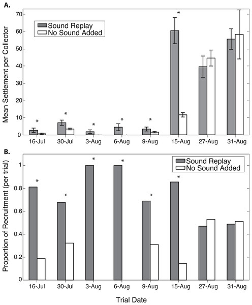 Oyster recruitment on spat collectors exposed to different acoustic treatments.