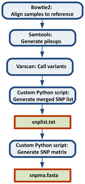 Steps in the SNP Pipeline.