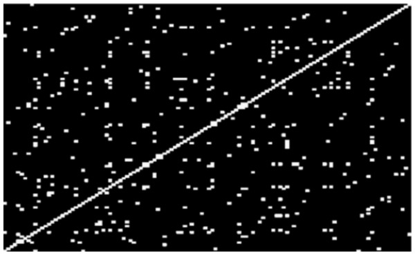 Visual representation of the correlation between the individuals considered in this work.