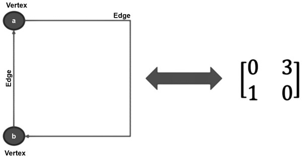 Graphic representation of a Graph with two vertexes and two edges (oriented Graph).