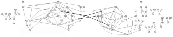 Graphic representation of the Graph described by the adjacency matrix C(i, j) considering only the edges corresponding to DNA-matches greater or equal to 6 Mbp.