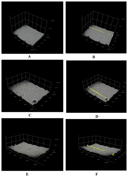 Different three-dimensional representations using 3D Hirox digital microscopy.