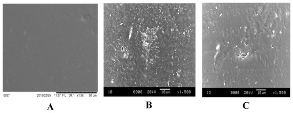 Representative SEM micrographs of untreated and HNO3 treated mPE.