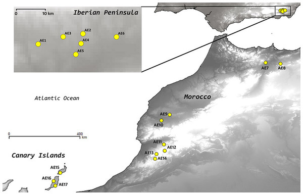 Location of the populations of Astragalus edulis sampled for this study.