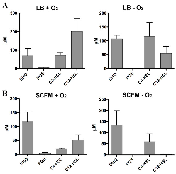 Quantification of extracellular levels of DHQ from aerobic and anaerobic PAO1 cultures.
