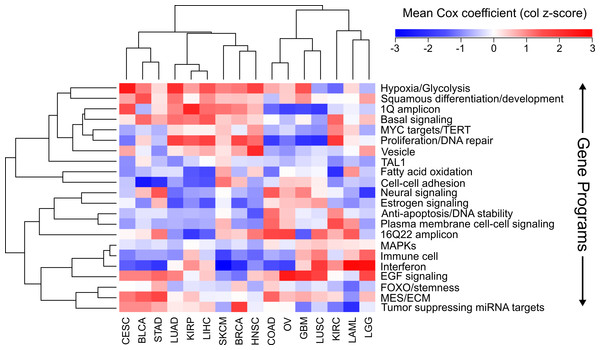 Clustering of cancers using gene programs.