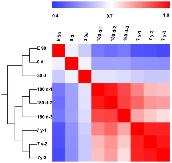 Hierarchical clustering analysis and heat map matrix of pairwise Spearman correlations of the counts of 167 differentially expressed miRNAs between nine miRNA libraries.