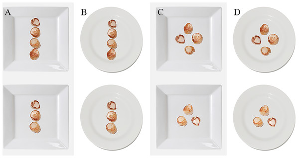 The 8 plates of scallops that were presented to the participants in Experiment 1.