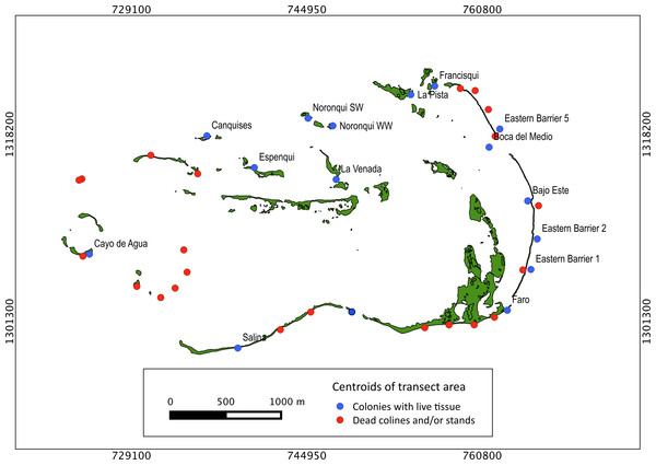 Historical distribution of Acropora palmata.