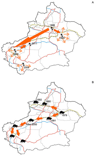 (A) Dispersal of silverleaf whitefly (Bemisia tabaci) in Xinjiang and (B) Dispersal of brown rat (Rattus norvegicus) in Xinjiang.