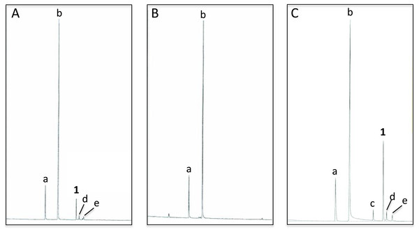 Total ion chromatograms of abdominal cuticular extracts of male Chrysopa oculata.