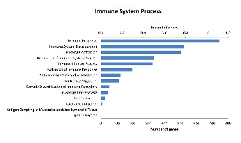 Distribution of level 3 GO terms within the level 2 category of immune system process.