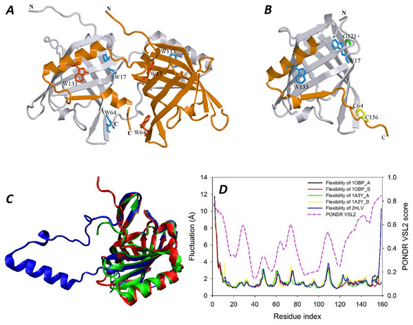 Analysis of the 3D structure of bOBP.