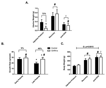 Acute hypothalamic suppression significantly affects trabecular bone ...