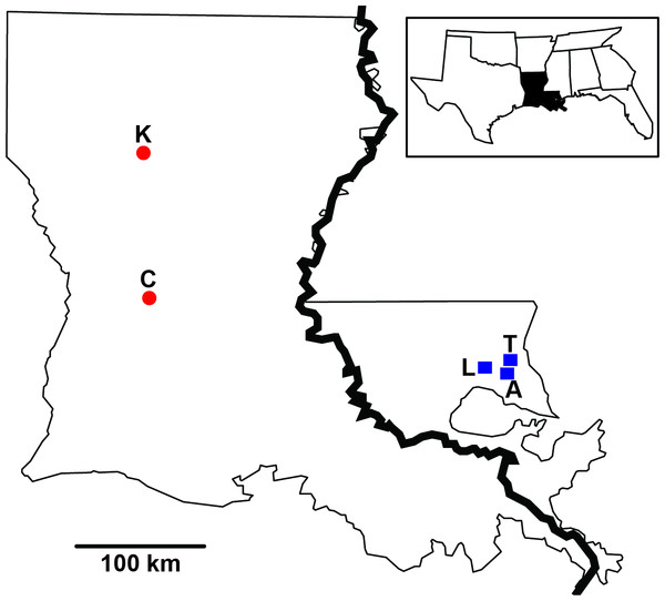 Sampling distribution of Sarracenia alata in Louisiana.