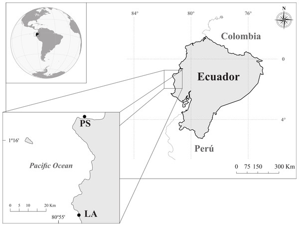 Study area and sampling sites in the coast of Ecuador: Los Ahorcados (LA) and Perpetuo Socorro (PS).