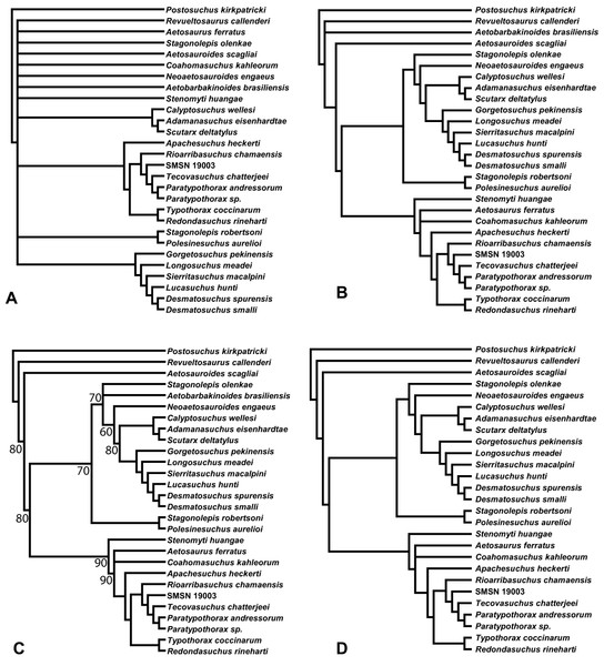 Phylogenetic trees recovered from the initial run of the main dataset.