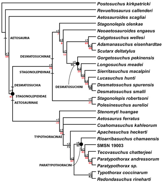 The reduced strict consensus of 3 MPTs used for this study with Aetobarbakinoides brasiliensis removed, with all named clades.