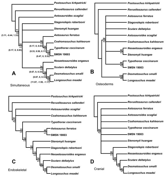 Phylogenetic trees recovered from partitioning the main dataset.