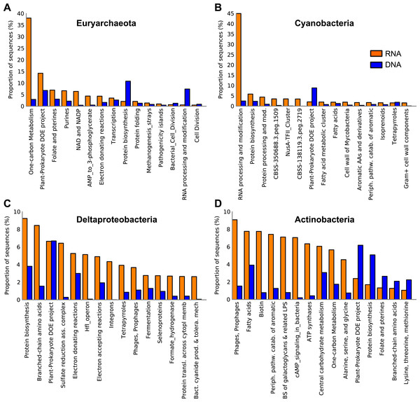Expressed functions by the most abundant taxa in the Landsort Deep sediment metatranscriptome.