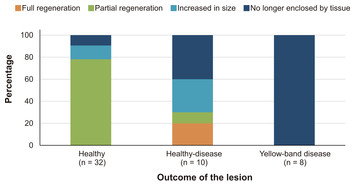 Low regeneration of lesions produced by coring in Orbicella faveolata ...