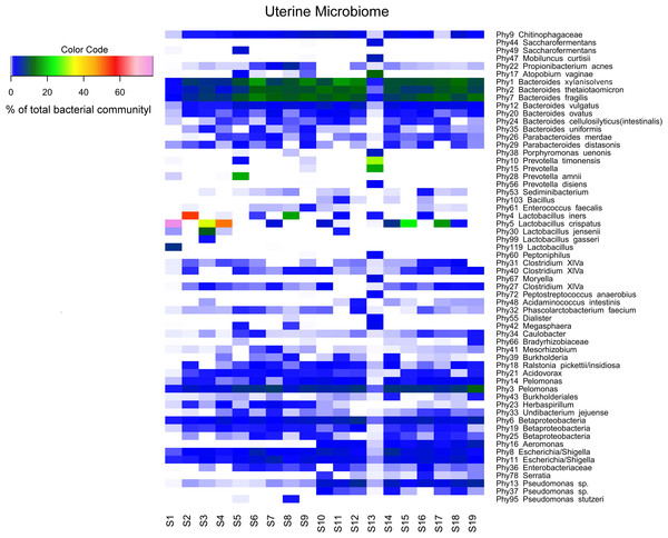 Endometrial bacterial community structure in subjects included (n = 19).