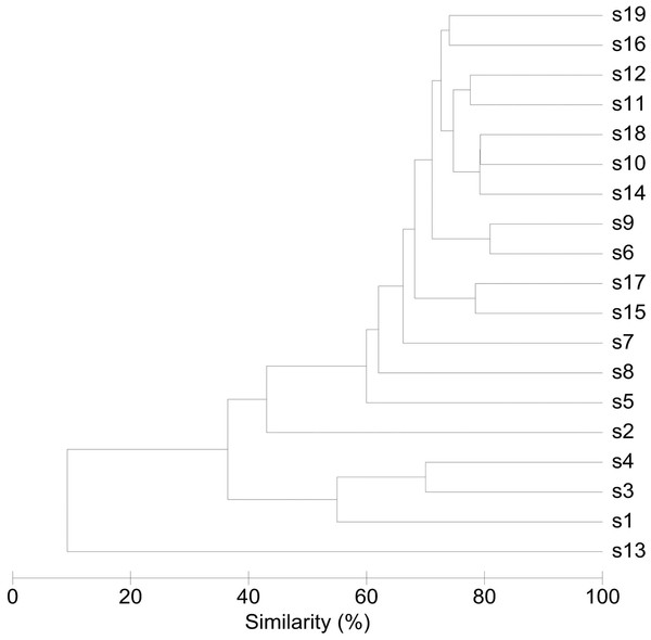 Similarity between bacterial communities in endometrial samples (n = 19).
