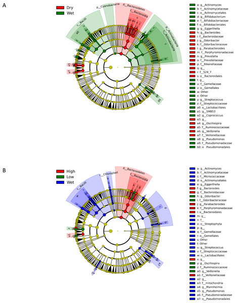 Cladograms representing the taxa enriched under various treatments.