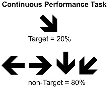 Continuous Performance Task.