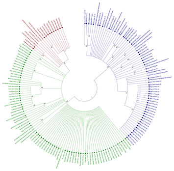 Molecular evidence for sediment nitrogen fixation in a temperate New ...