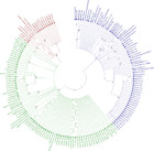 Molecular evidence for sediment nitrogen fixation in a temperate New ...