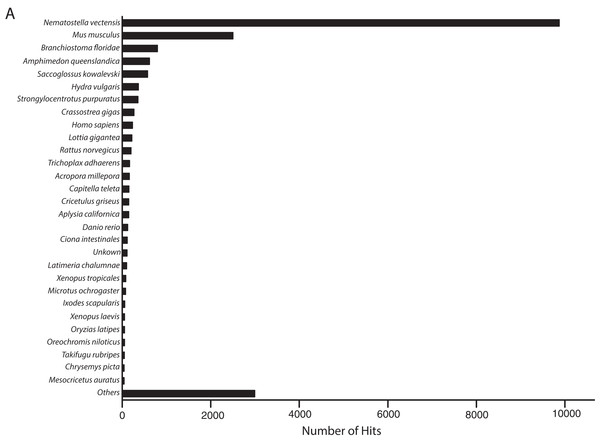 Frequency distribution of taxonomic identities of best hits to O. faveolata transcripts.