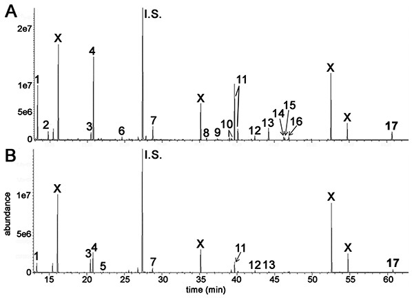 GCMS chromatograms for irradiated HepG2 hepatocellular carcinoma cells and HMCL-7304 myotubes.