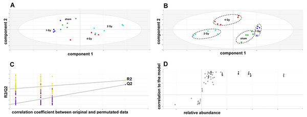 Metabolomic analysis on lysates of γ-irradiated HepG2 cells.