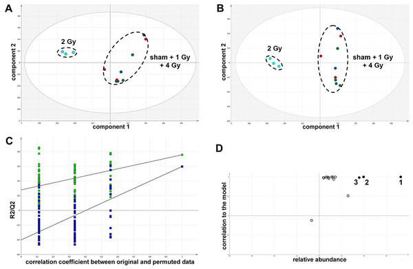 Metabolomic analysis on lysates of γ-irradiated HMCL-7304 cells.