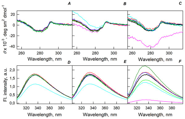 Changes in the near-UV CD spectra (A–C) and the tryptophan fluorescence spectra (D–F) of bOBP alone (black lines) and in the presence of PEG-600 (green colors), PEG-4000 (red colors) and PEG-12000 (blue colors).