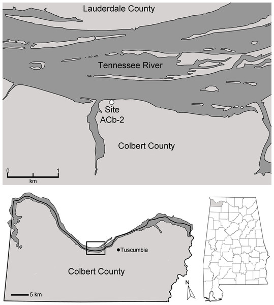 Map of the Tennessee River in Alabama, USA, and the location of Bell Cave (site ACb-2).