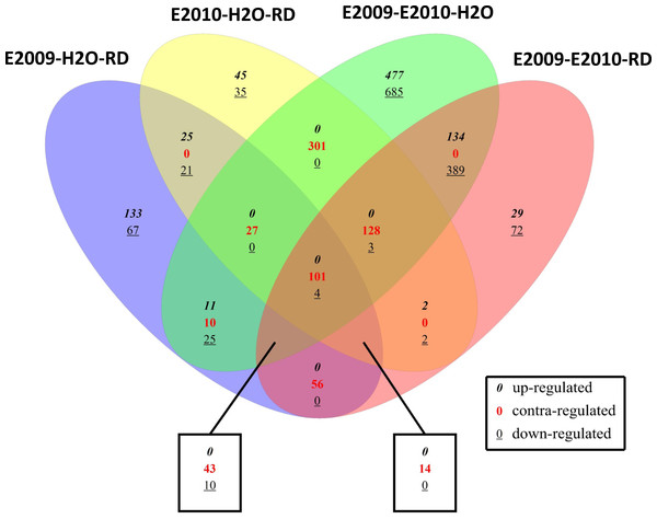 Venn diagram for genes differentially expressed of Globodera pallida between the different comparisons.