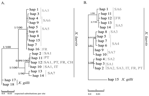 MP and BI inference based on Cytb (A) and 16S alignments (B).
