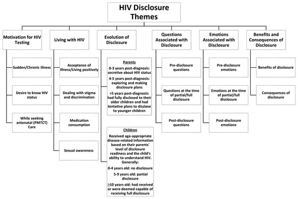 HIV disclosure themes.