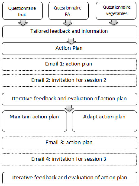 An overview of the intervention programme.