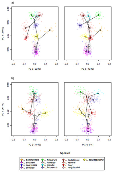 PCA plots of PC1 against PC2 and PC3 for (A) ventral and (B) dorsal anchors, with superimposed phylogeny of the 13 Ligophorus species.
