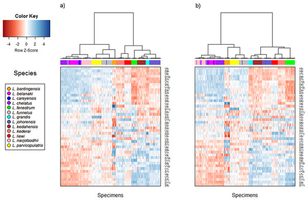 Cluster heat map of specimens (column) using shape variable data (row).