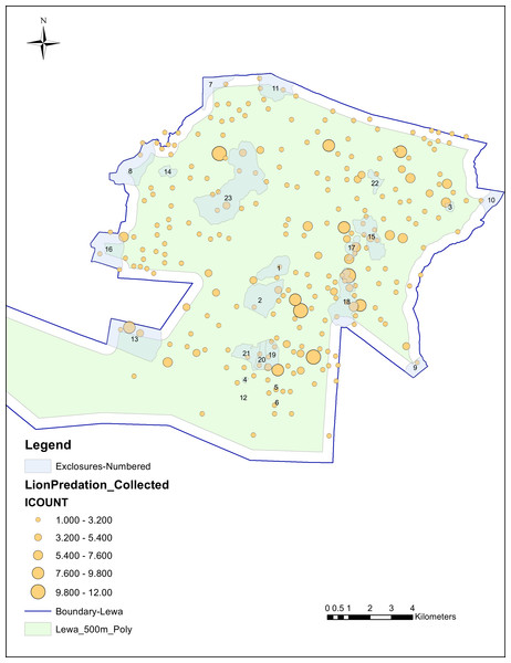 Individual lion kills, collected at 100m tolerance, in relation to perimeter and exclosure fencing.